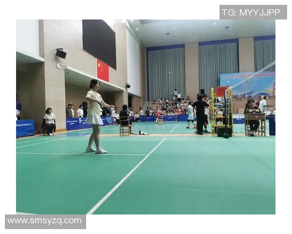 羽毛球个人能力排行榜揭晓北京羽毛球队荣获第四名佳绩