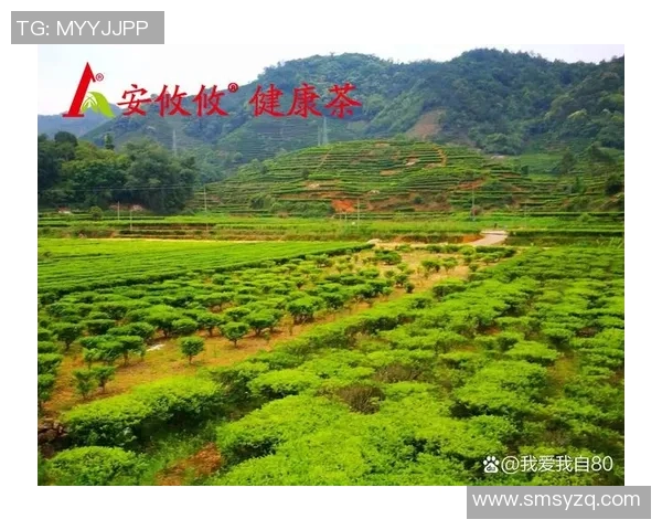 茶香四溢的绿茵场上足球明星们的爱茶生活揭秘